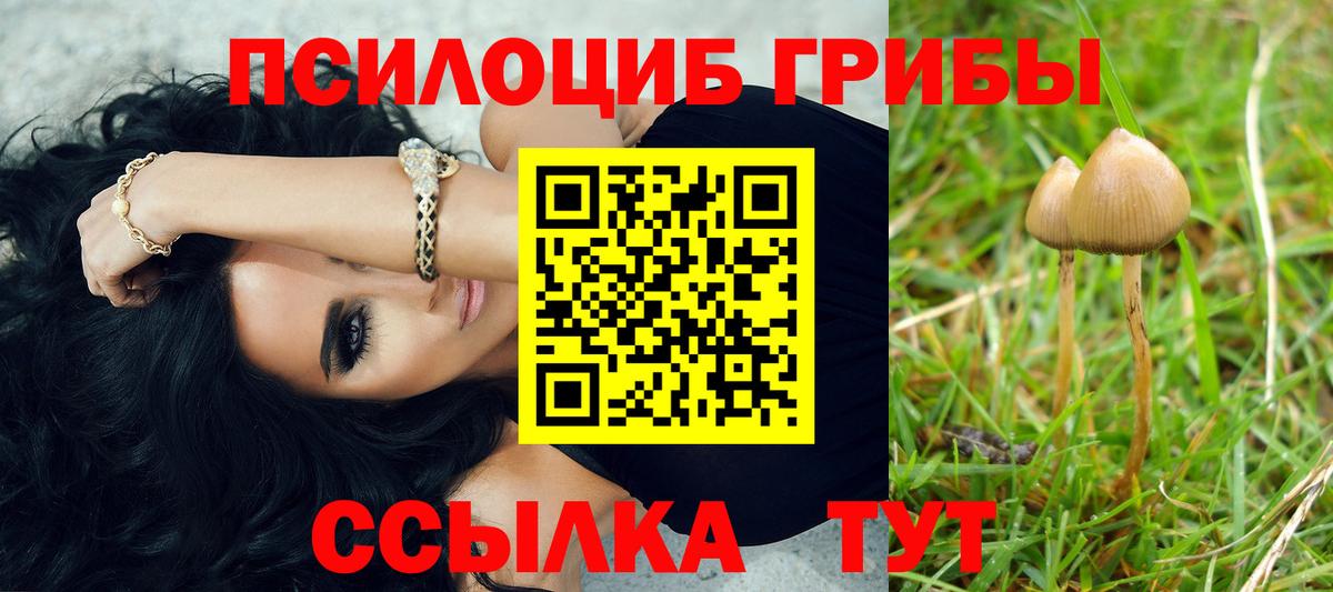 Галлюциногенные грибы ЛСД Тара
